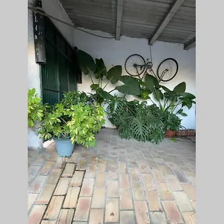 Casa Da Forja - Casa De Campo Com Piscina * Abrantes