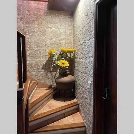 Hébergement de vacances Casa Da Forja - Casa De Campo Com Piscina *